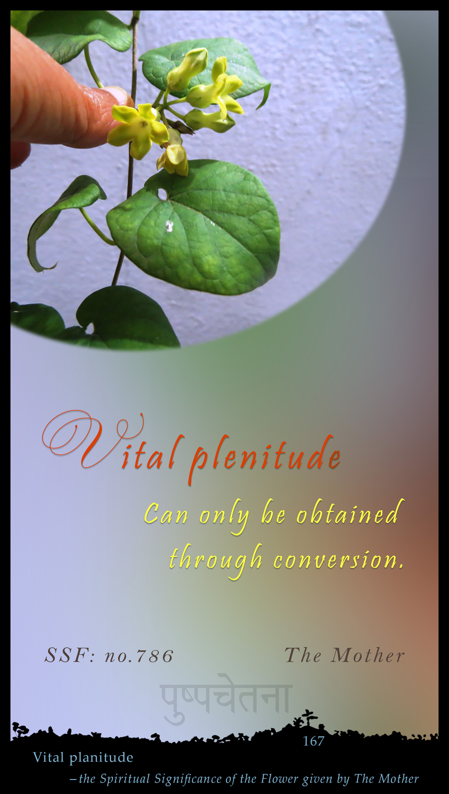 Vital Planitude